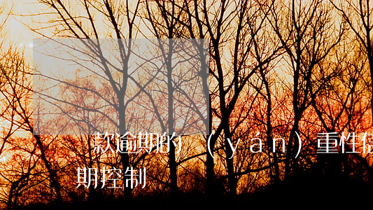 貸款逾期的嚴(yán)重性（信貸為什么逾期控制）