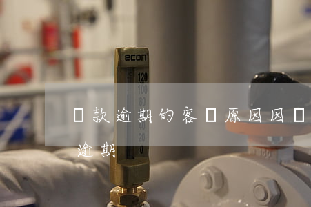 貸款逾期的客觀原因(因為貸款公司出錯造成逾期)