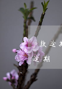 貸款逾期的法律規(guī)定(利息逾期算逾期貸款嗎)