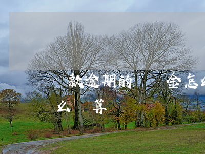 貸款逾期的滯納金怎么算(貸款逾期滯納金怎么計算)