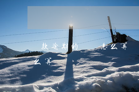 貸款逾期的違約怎么算 貸款逾期了違約金怎么算