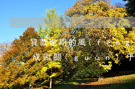 貸款逾期的風(fēng)險(xiǎn)成因(關(guān)于貸款逾期的法律知識(shí))