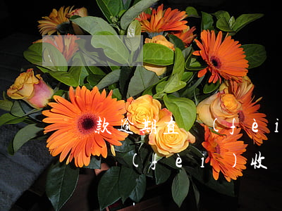 貸款逾期直費(fèi)是什么(貸款逾期訴訟費(fèi)收費(fèi)標(biāo)準(zhǔn))