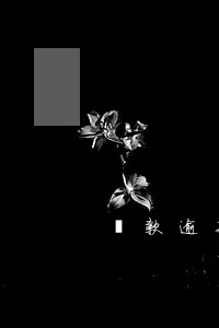 貸款逾期真實照片-貸款逾期圖片