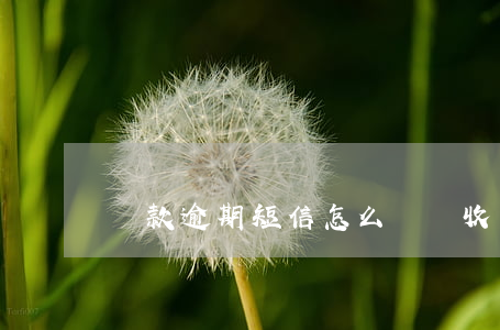 貸款逾期短信怎么編輯(收到貸款逾期短信)
