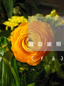 貸款逾期私人號碼發(fā)短信威脅要發(fā)村上去-網(wǎng)貸逾期私人號碼發(fā)短信威脅