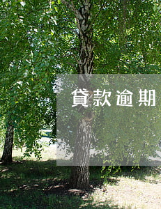 貸款逾期立案（立即貸逾期被起訴）