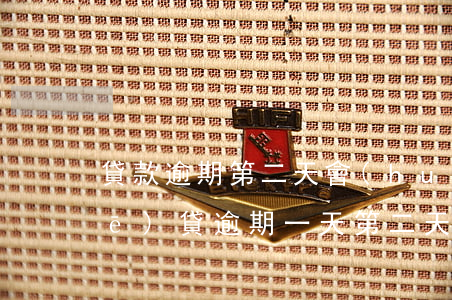 貸款逾期第二天會(huì)摳嗎(車(chē)貸逾期一天,第二天還會(huì)自己扣嗎?)