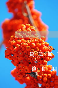 貸款逾期筆數(shù)3是什么(3萬貸款逾期利息怎么算)
