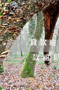 貸款逾期筆數(shù)5是黑名單(銀行貸款逾期多少天上黑名單)