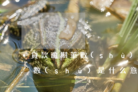 貸款逾期筆數(shù)是什么意思(逾期期數(shù)是什么意思)