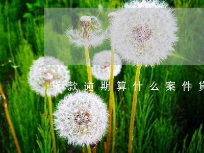 貸款逾期算什么案件(貸款逾期屬于什么案件)