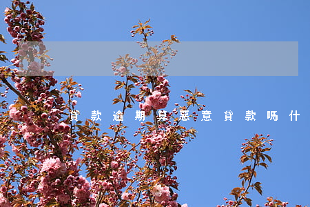 貸款逾期算惡意貸款嗎(什么叫逾期貸款)