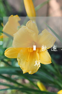 貸款逾期給我家寄文件(收到信息說我貸款逾期)