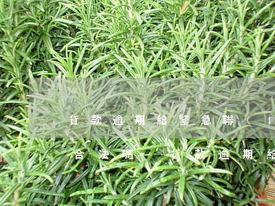 貸款逾期給緊急聯(lián)系人打電話合法嗎-貸款逾期給緊急聯(lián)系人打電話合法嗎安全嗎