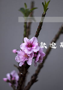 貸款逾期經偵大隊管嗎(貸款逾期經偵大隊管嗎)