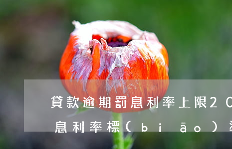 貸款逾期罰息利率上限(2020貸款逾期罰息利率標(biāo)準(zhǔn))