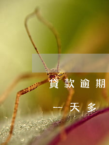 貸款逾期罰息天天有嗎(借唄逾期罰息一天比一天多)