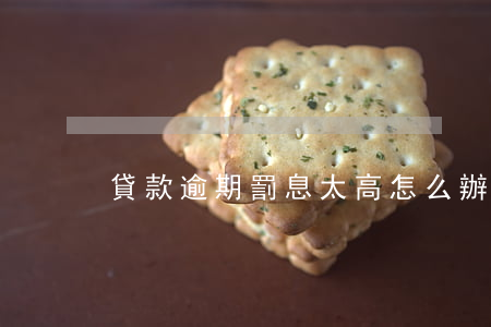 貸款逾期罰息太高怎么辦