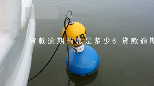 貸款逾期罰息是多少6(貸款逾期罰息是多少)
