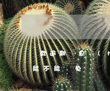 貸款逾期罰息會(huì)減免嗎(逾期利息能不能減免)