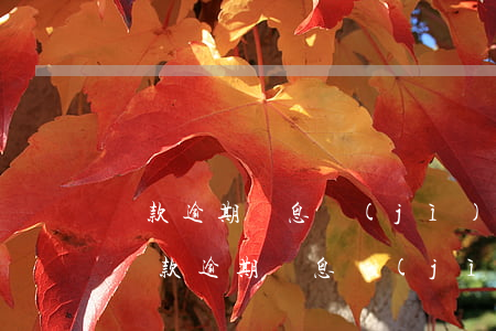貸款逾期罰息計(jì)算基數(shù)(貸款逾期罰息計(jì)算基數(shù))