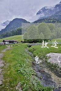 貸款逾期罰息計(jì)算表格(貸款逾期罰息計(jì)算表格)