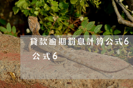貸款逾期罰息計算公式6(貸款逾期罰息計算公式6)
