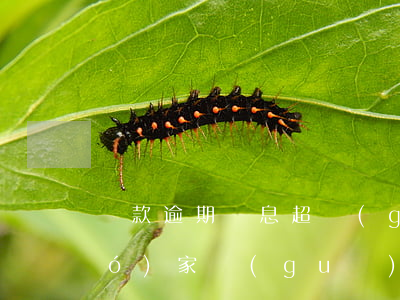 貸款逾期罰息超過(guò)本金(國(guó)家規(guī)定貸款逾期罰息是百分之多少)