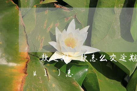 貸款逾期罰款怎么交(逾期交交通罰款會(huì)怎樣)