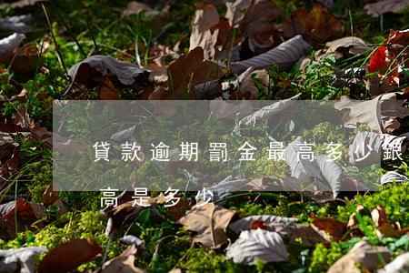 貸款逾期罰金最高多少(銀行貸款逾期罰息最高是多少)