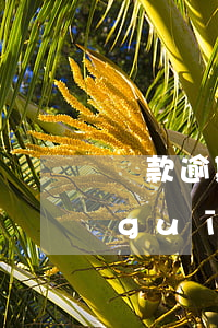 貸款逾期罰金相關規(guī)定(國家規(guī)定貸款逾期罰息是百分之多少)