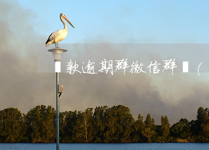 貸款逾期群微信群號(hào)