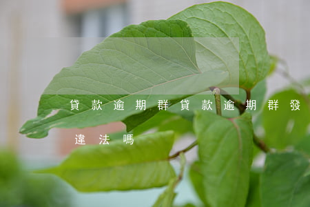 貸款逾期群，貸款逾期群發(fā)貸款信息違法嗎