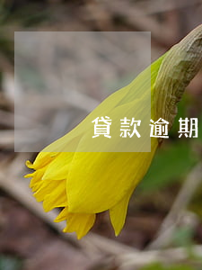 貸款逾期翻一倍合理嗎