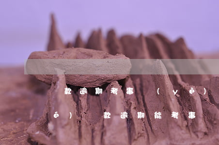 貸款逾期考事業(yè)單位-助學(xué)貸款逾期能考事業(yè)單位