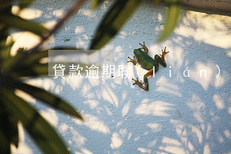 貸款逾期聯(lián)系不到本人
