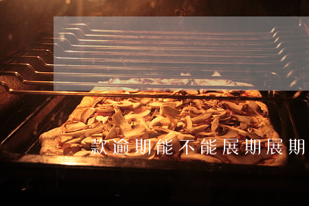 貸款逾期能不能展期(展期影響貸款嗎)