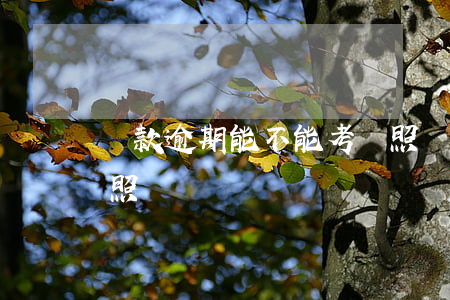 貸款逾期能不能考駕照(貸款逾期能不能考駕照)