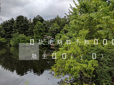 貸款逾期能不能買飛機(jī)票(逾期能不能坐飛機(jī))