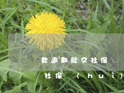 貸款逾期能交社保嗎(網(wǎng)貸逾期買社保會(huì)不會(huì)聯(lián)系公司)