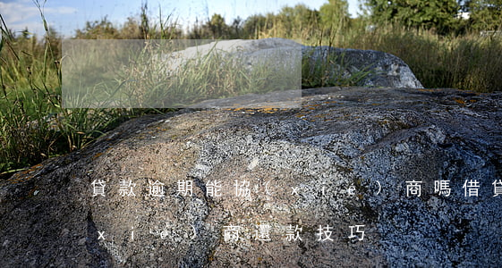 貸款逾期能協(xié)商嗎（借貸逾期協(xié)商還款技巧）