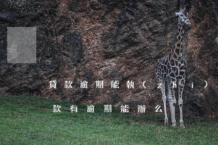 貸款逾期能執(zhí)行抵押物嗎(抵押貸款有逾期能辦么)