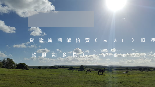 貸款逾期能拍賣(mài)抵押物嗎(抵押貸款逾期多長(zhǎng)時(shí)間拍賣(mài)抵押物)