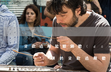 貸款逾期能撤銷擔(dān)保人嗎(擔(dān)保的貸款逾期,擔(dān)保人能貸款嗎)