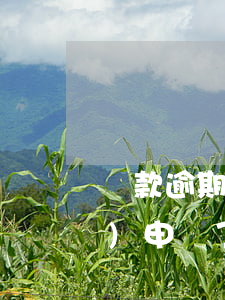 貸款逾期能申請撤銷嗎(貸款已經(jīng)申請了能撤回嗎)