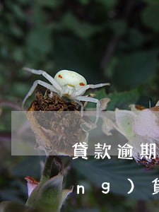 貸款逾期能當(dāng)律師嗎 網(wǎng)貸逾期找律師真的有用嗎