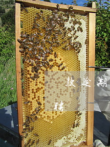 貸款逾期能考教師招聘(貸款逾期能考教師招聘)