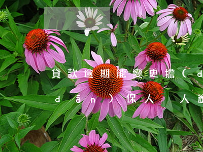 貸款逾期能變更擔(dān)保人嗎(做擔(dān)保人別人逾期貸款會(huì)受到影響嗎)