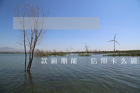 貸款逾期能辦信用卡么(逾期可以辦信用卡嗎?)